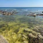 Rock pooling and swimming in the shallows