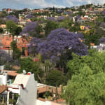 San Miguel de Allende