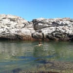 Natural pools along the Otter Trail