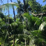 Uvita beach trail