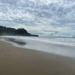 Uvita