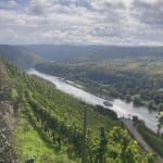 The view over wineyards and the riverside if you bike up the hill to one of the many castles along the Moselradweg.