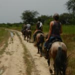 Zakouma National Park