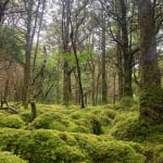 Killarney