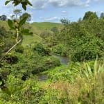 Blue Spring (Te Waihou Walkway). Leslie Road entrance is closed. Use Whites Road instead.