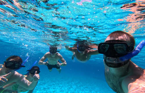 All having fun snorkelling!