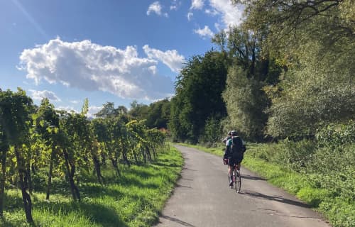 the beautiful ways of the Radweg always between wineyards and the river.