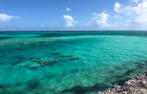 Unreal turquoise colors.