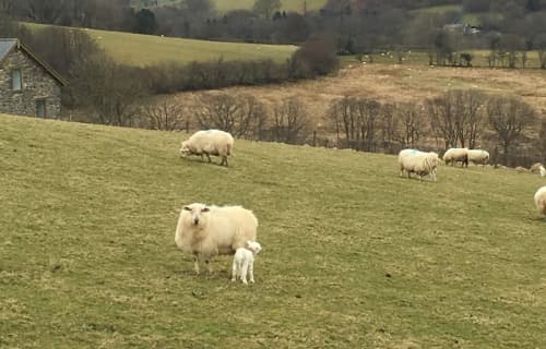 AtlasGuru Trip Report