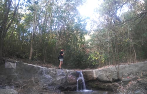 AtlasGuru Trip Report