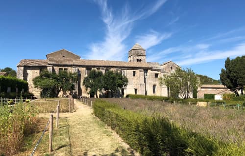 AtlasGuru Trip Report