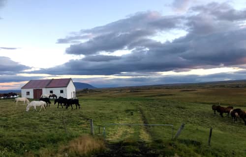 AtlasGuru Trip Report