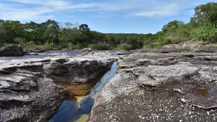 Caño Cristales