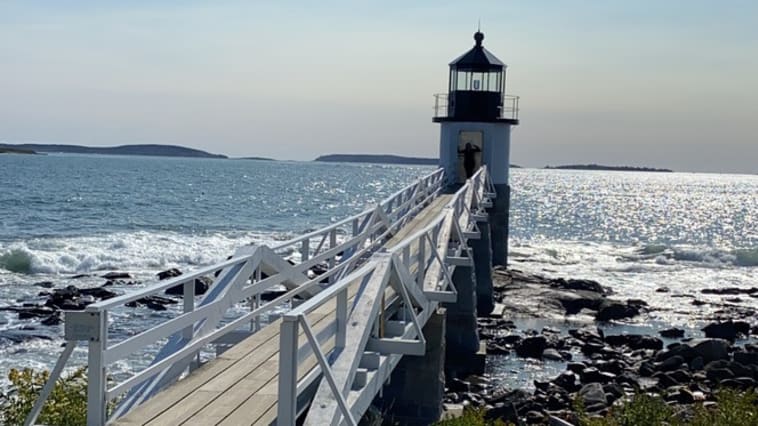 Channeling my inner Forrest Gump moment.