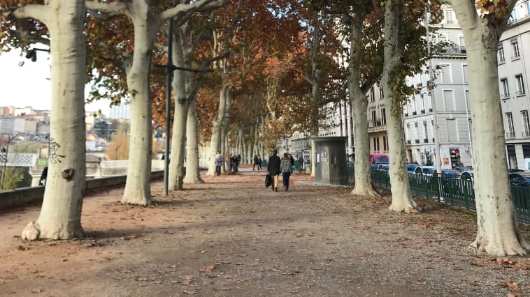 Lyon