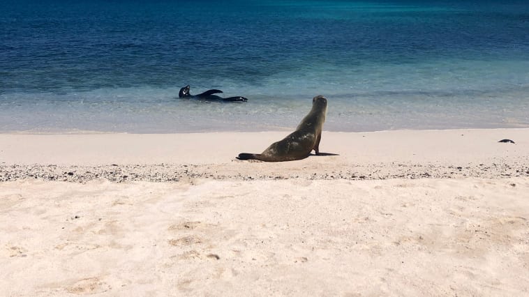 Santa Cruz Island