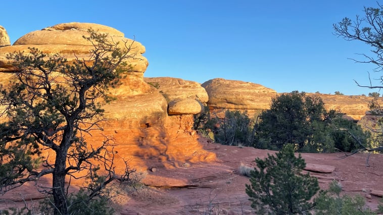 Needles District Canyonlands