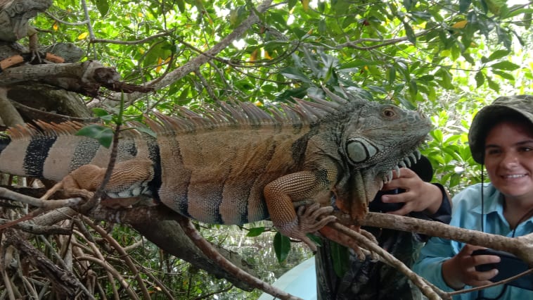 Iguana Paradise eco park of La ventanilla