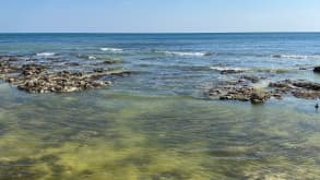 Telscombe Cliffs - Witness Nature's Drama: Experience the Spectacular Seascapes and Cliffs of the South Downs Coast - Rock pooling and swimming in the shallows