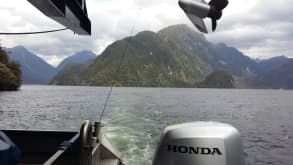 Doubtful Sound / Patea - One of the amazing fjords in New Zealand - View from the back of the boat
