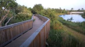 Anahuac - Enjoying in the wilderness - null