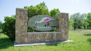 Anahuac - Enjoying in the wilderness - null