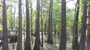 Anahuac - Enjoying in the wilderness - null