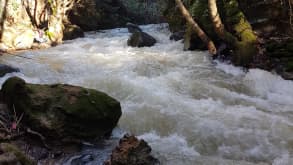 Pastoral Kfar Blum Hotel - Kayaking - null