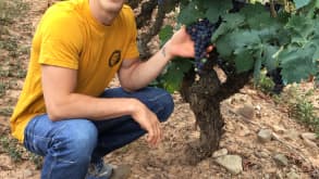 Ortigosa de Cameros - Relaxing at Lake González Lacasa - Grapes everywhere in La Rioja!