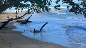 Playa Chiquita - This location was further from town and more peaceful. The beaches were less crowded and more wild. The water was pristine - Playa Chiquita