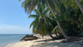 Ko Pha Ngan - larger island next to Koh Samui - Paradise Beach