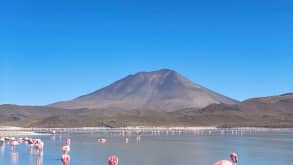 Uyuni - Biggest salt flats in the world. Very out of the ordinary with great views and good picture opportunities - null