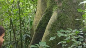 Mabira forest - Seeing wildlife - null