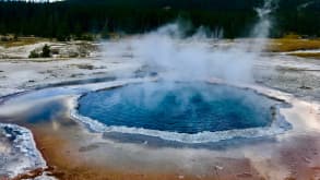 Yellowstone National Park - Geysers, hot springs and wildlife - null