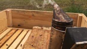 Saldus - Country life - Beehives on the family farm