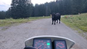 Col de la Croix - Watching the sunset - Cows may block the roads - take care!