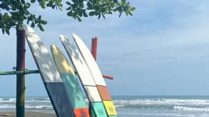 Cahuita - Wildlife, Surfing and Caribbean Culture - Surfing on Playa Negra