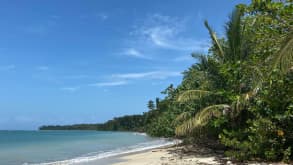 Cahuita - Wildlife, Surfing and Caribbean Culture - Playa Blanca