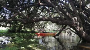 Ometepe - Surround yourself by nature whilst exploring the thousands of things to do on Ometepe Island - null