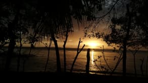 Ometepe - Surround yourself by nature whilst exploring the thousands of things to do on Ometepe Island - null