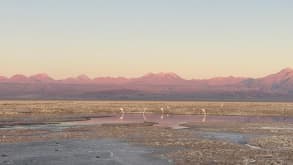 San Pedro de Atacama - Stargazing, beautiful landscape and recommendations from friends. - Sunset at the flamingo reserve