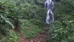 Brownsberg - One of the best National Parks in Suriname, with many different waterfalls you can hike to. - null