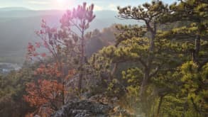 Hersbruck - Outdoor Sports, Nature and Ice Cream - viewpoint from Burg Hohenstein