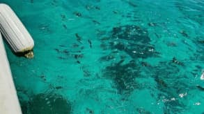 Cayo Sucre - The beautiful views - null