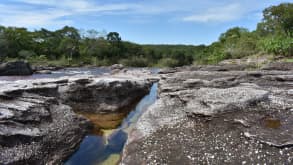 Caño Cristales - Caño Cristales known as the "Rainbow river" - null