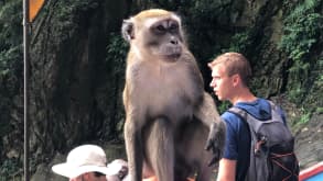 Batu Caves - To have my eyes full of it - null