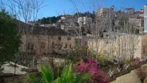 Haifa - Bahai gardens - null