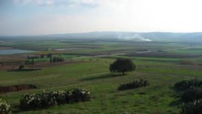 Haifa - Bahai gardens - null