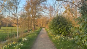 City Centre - Explore Oxford's Iconic Landmarks: From Magdalen College to the Botanic Gardens - Addison’s Walk in Magdalen college. The deer live on the left, and the river is on the right