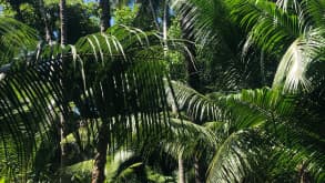 Uvita - On the way to a national park - Uvita beach trail